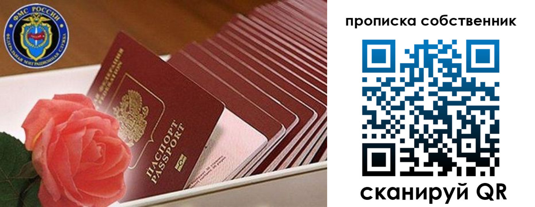 прописка поиск в Сланцах